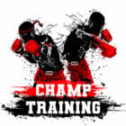 Boxing And Muay Thai Workout